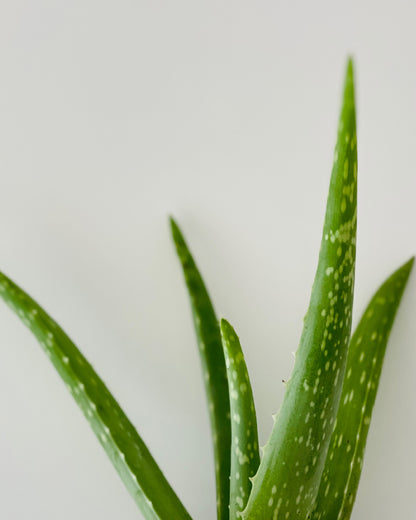 Psoriasis