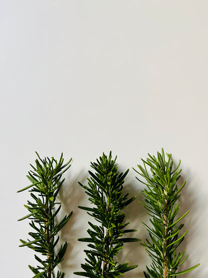 Rosemary