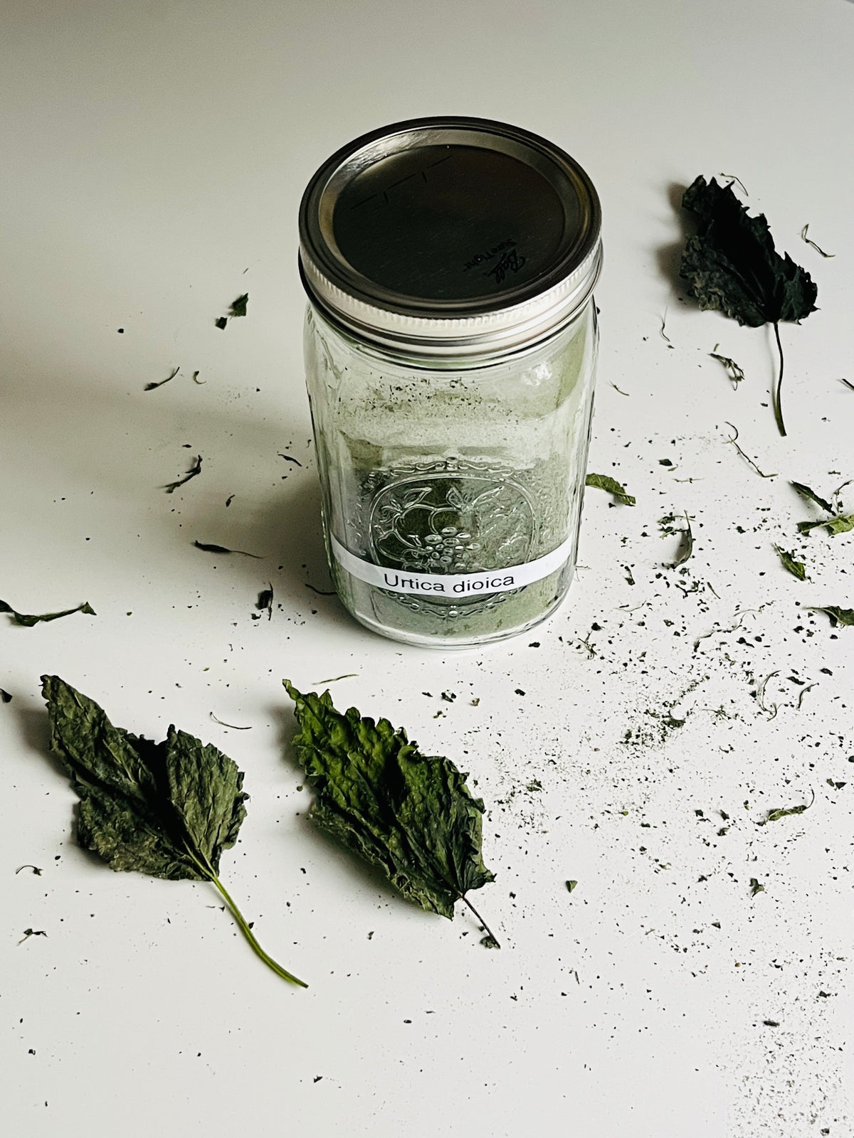 Stinging Nettle Soap